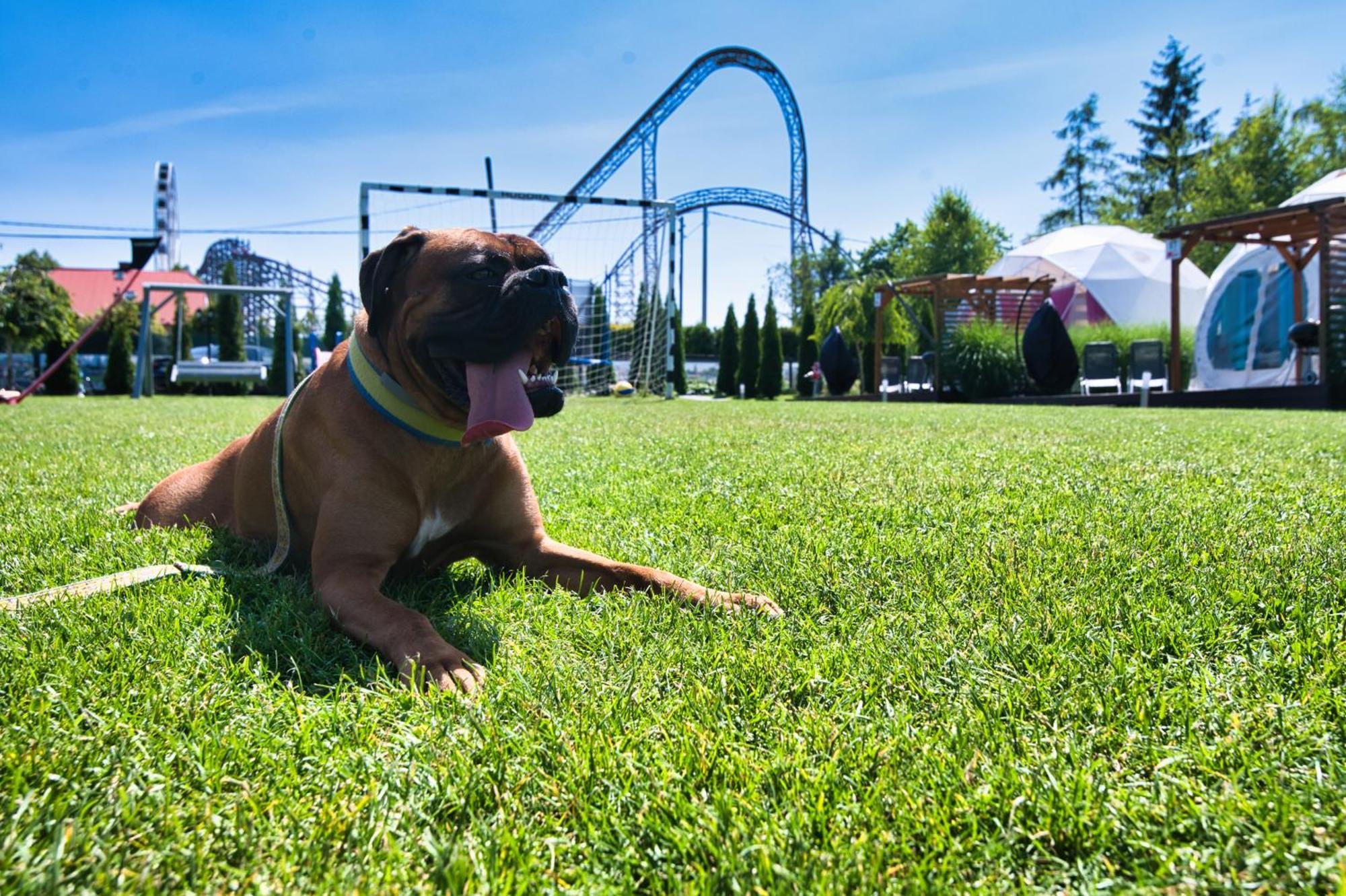 Holiday Park Zator Parco vacanze *